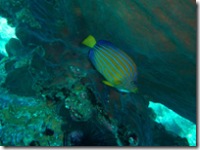 CIMG0988